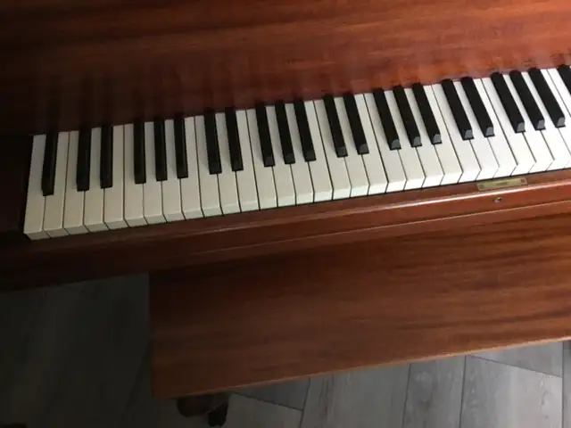 Baby Grand Piano - Photo 3