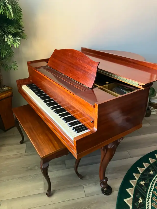 Baby Grand Piano - Photo 4