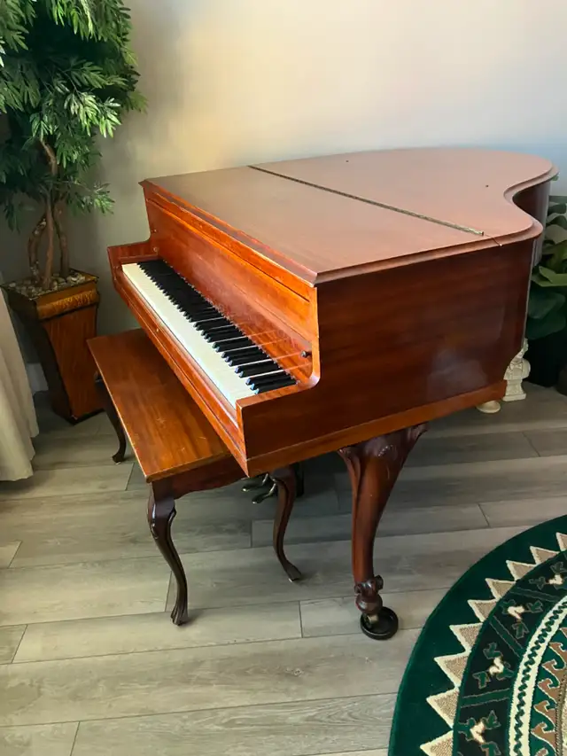 Baby Grand Piano - Photo 5