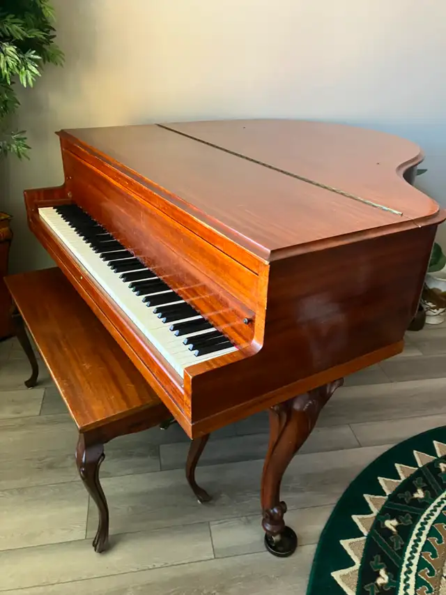 Baby Grand Piano - Photo 7