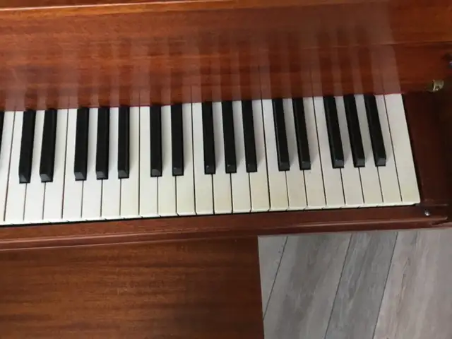 Baby Grand Piano - Photo 8