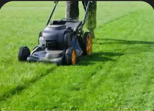 Lawn Care Service - Photo 4