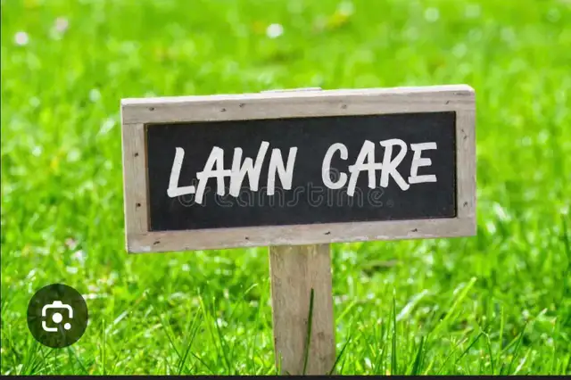 Lawn Care Service - Photo 6