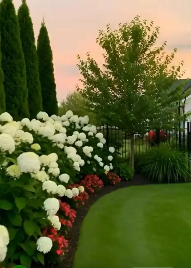 Lawn Care Service - Photo 9