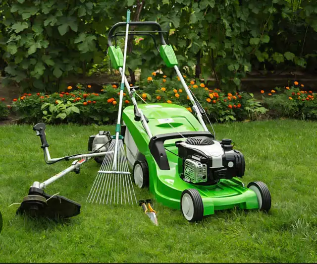 Lawn Care Service - Photo 3