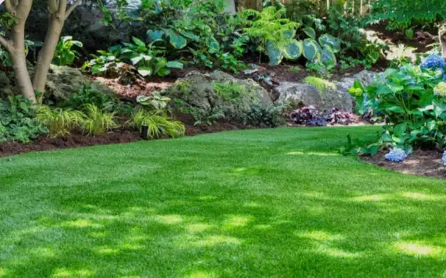 Lawn Care Service - Photo 6