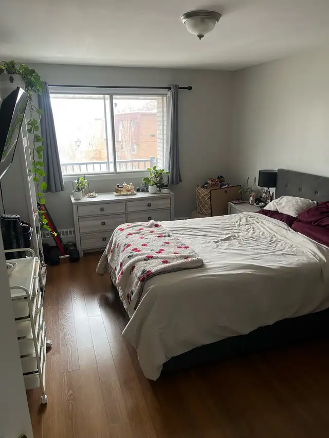 Bright 4½ Apartment – Walking Distance to REM – DDO - Photo 4