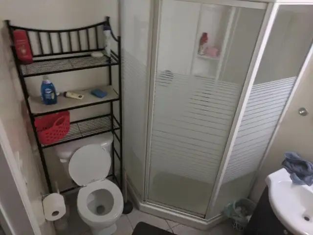 Large Basement Private Room near Carleton/Algonquin - Jun 1st - Photo 7