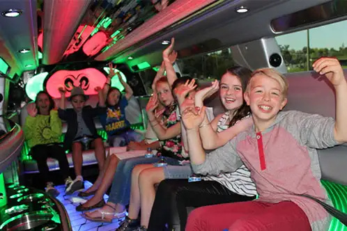 $299-PROM LIMOS-PROM LIMOUSINE WEDDING LIMO NIAGARA LIMOUSINE - Photo 4