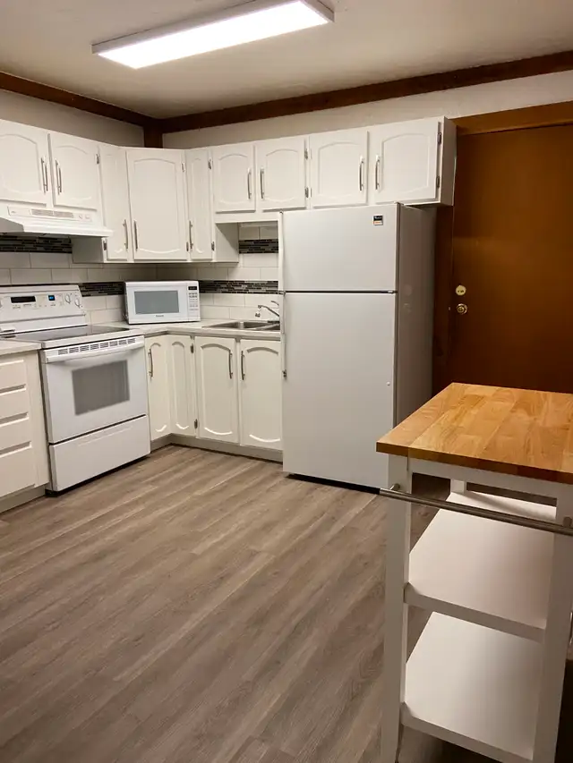 Great revenue or lovely place to call home! - Photo 3