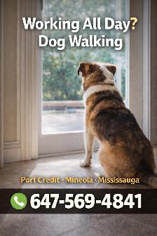 Dog Walking Mississauga | Port Credit & Mineola Dog Walker Near