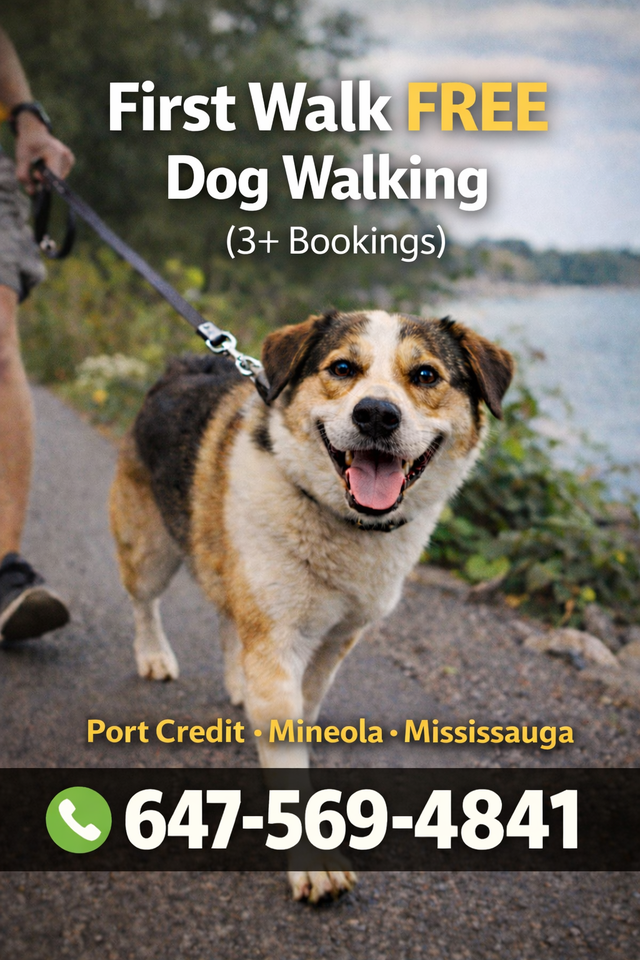 Dog Walking Mississauga | Port Credit Dog Walker First Walk Free