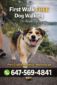 Dog Walking Mississauga | Port Credit Dog Walker First Walk Free