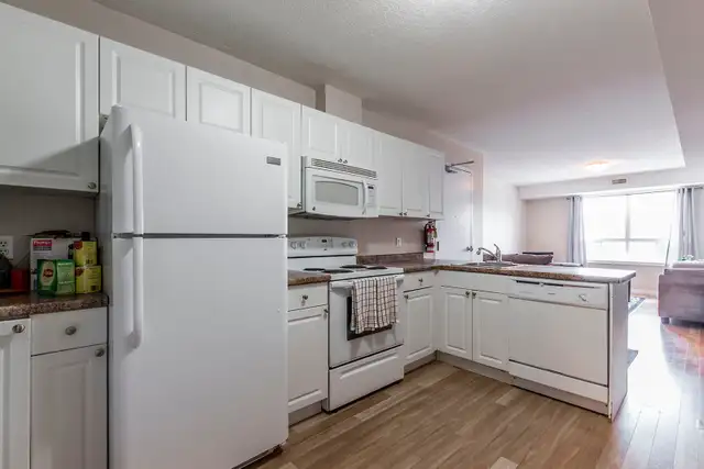 ROOMS FOR RENT - SUMMER - NEAR UNIVERSITY - Photo 5