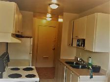 A large Private room for rent $850