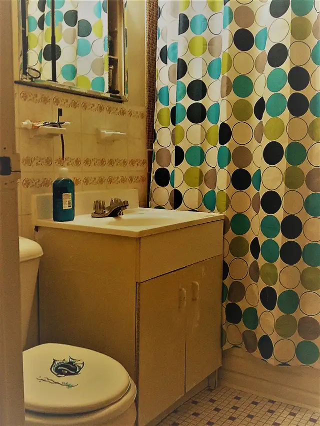 A large Private room for rent $850 - Photo 2