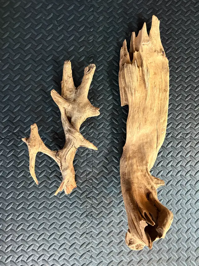 ACCESSOIRES REPTILES - Photo 4