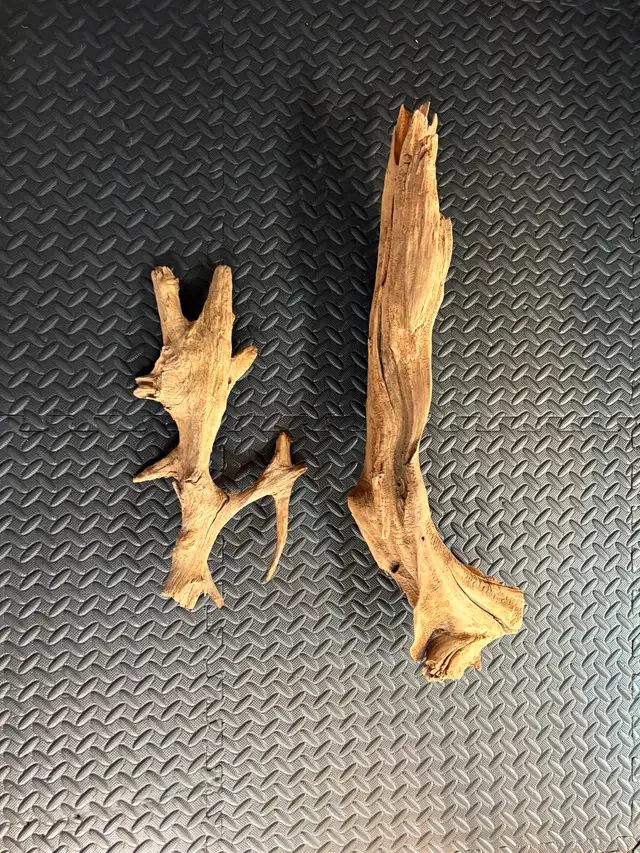 ACCESSOIRES REPTILES - Photo 5