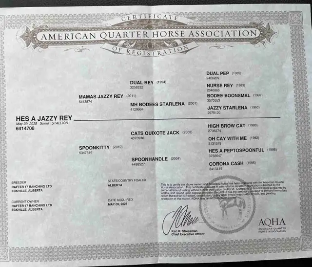 Well Bred 2025 Barrel/Breakaway Prospect