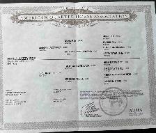 Well Bred 2025 Barrel/Breakaway Prospect