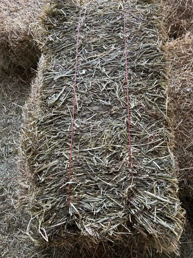 Hay for Sale - Photo 2