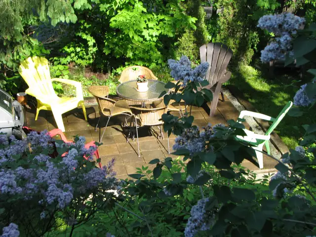 6 1/2 - VIEUX NORD -2e étage d'un duplex - Photo 10