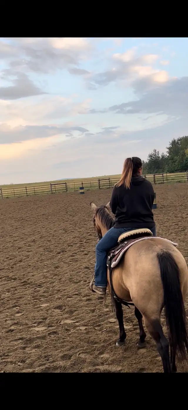 10 year old Mare - Photo 5