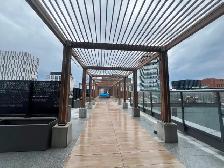 New 1  Den 2Baths  For Rent Steps to TTC  in Downtown Toronto