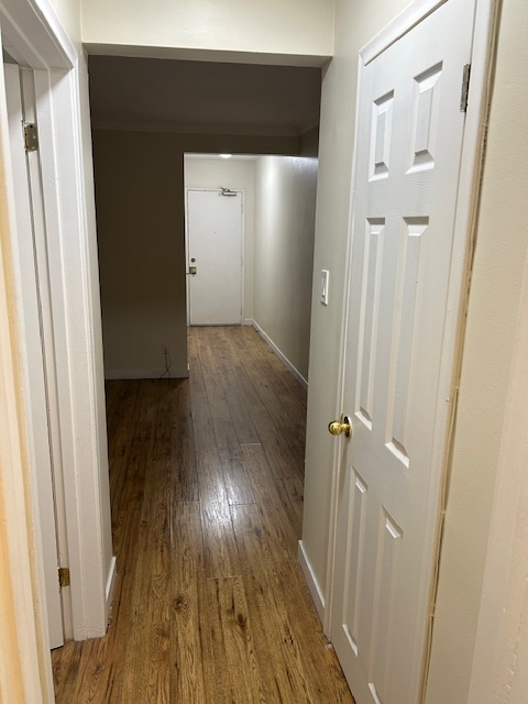 Spacious 1 bedroom apt walking distance to Humber College - Photo 8