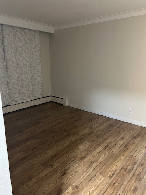 Spacious 1 bedroom apt walking distance to Humber College - Photo 9