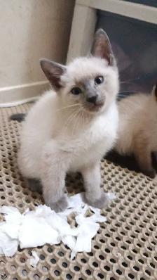 LAST CHANCE AT CHEAP PRICE