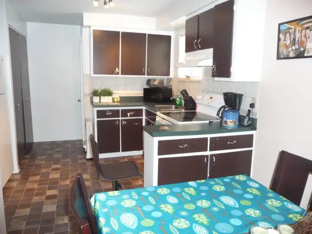 Logement 3  1/2  a louer a Lasalle - Photo 4