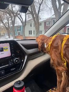 Dynastar Kids 80cm Skis