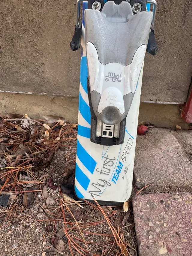 Dynastar Kids 80cm Skis - Photo 4