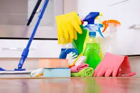 Best house cleaning services $30/h( supplies included) - Photo 3