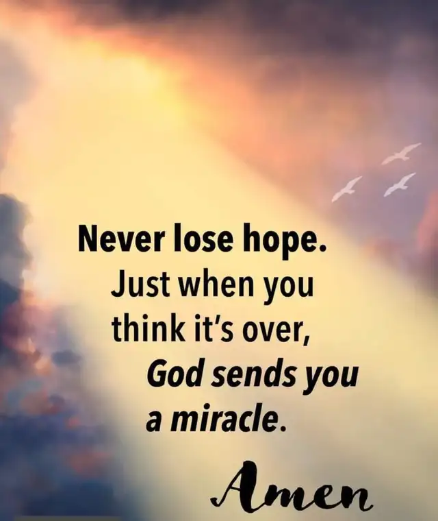 A Cozy Furnished room All-inclusive Leslie & Finch area 1 bus to - Photo 11