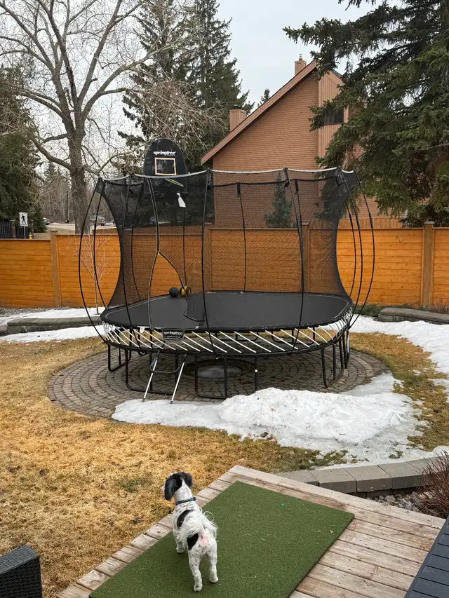 Springfree Trampoline  S113 Large Square 11x11