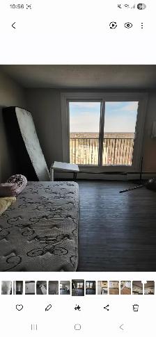 One Bedroom Apartment Including utilities $1399. From April 15th