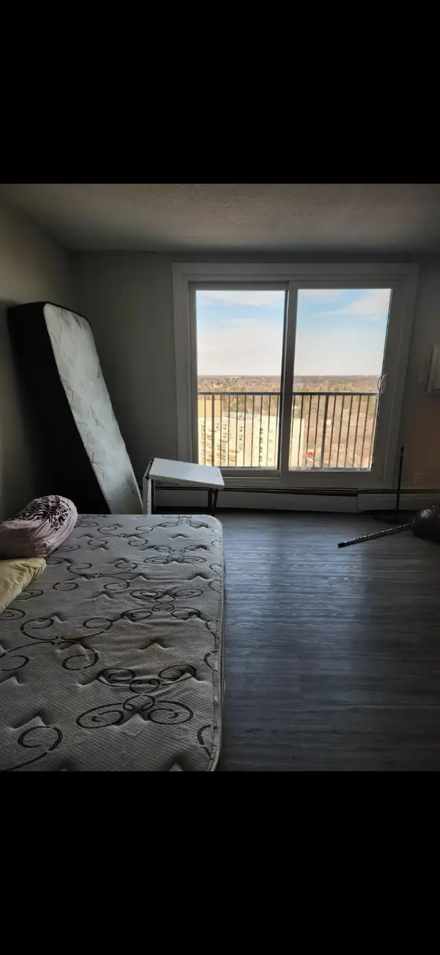 One Bedroom Apartment Including utilities $1399. From April 15th - Photo 9