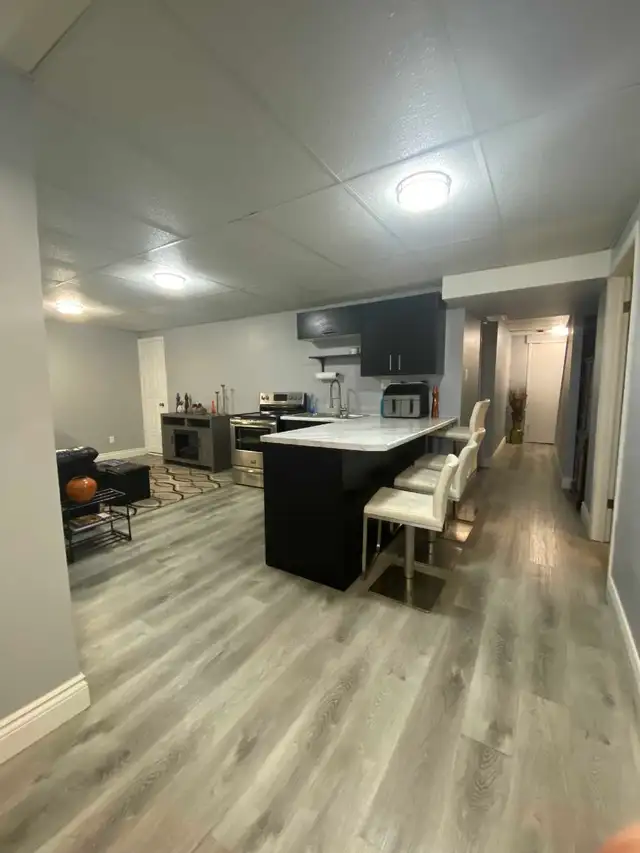 1 bedroom   Den Basement Apartment - Photo 3