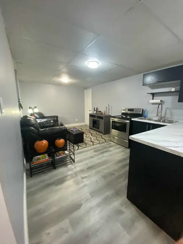 1 bedroom   Den Basement Apartment - Photo 4