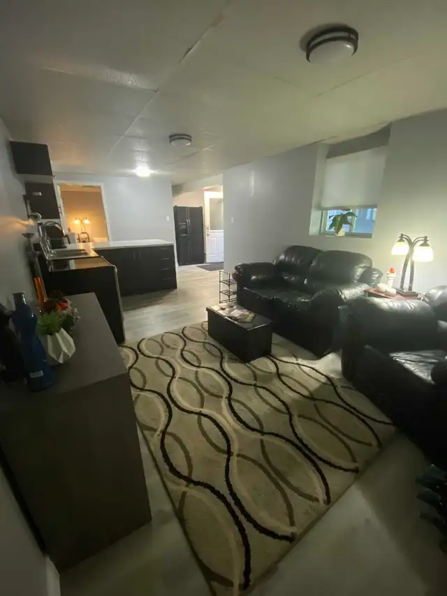 1 bedroom   Den Basement Apartment - Photo 10