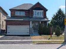 Private room for rent in shared basement appartment