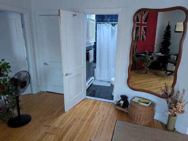 Room for woman, NDG, Montreal $875 / month all incl. - Photo 3