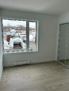 4 1/2 à louer secteur Lauzon 15 mai ou 1er juin