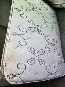 Queen size Matress 14inch and wooden box. Onesingle Matress $700