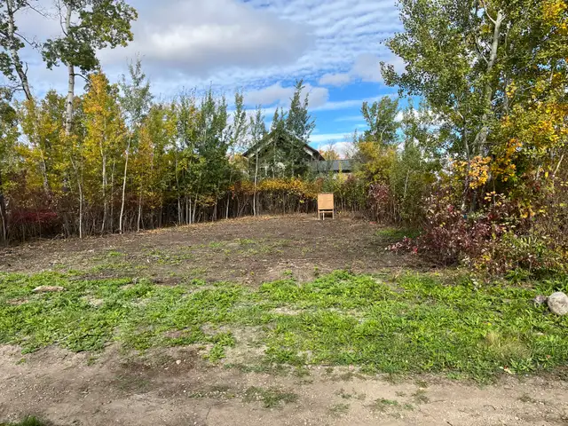 Barney’s Bay, Struthers Lake titled lot.