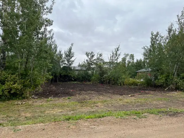 Barney’s Bay, Struthers Lake titled lot. - Photo 2