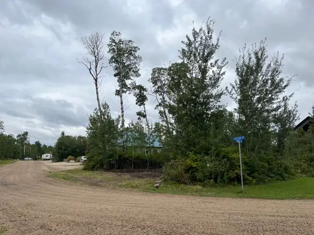 Barney’s Bay, Struthers Lake titled lot. - Photo 3