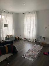 Downtown Montreal Metro Papineau luxury 2 1/2 with appliance